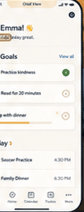 Kinforge Family child mobile view showing tasks, goals, and today's schedule.